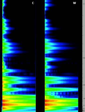 Spectrogram up to 1kHz